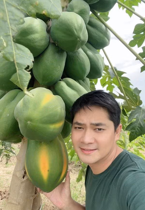 Trong khuôn viên nhà vườn của Minh Luân có đủ các loại cây ăn trái như ổi, sầu riêng, mít, xoài...Ảnh; FBNV