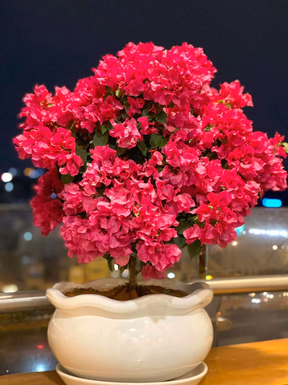 Nhiều khán giả cho rằng căn nhà của anh như một khu vườn thu nhỏ đầy sắc màu mùa xuân. Ảnh: FBNV