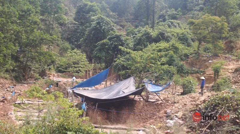 Kinh phí thực hiện gần 19,5 tỷ đồng, từ nguồn của Công ty TNHH Khai thác vàng Bồng Miêu đã ký quỹ cải tạo, phục hồi môi trường tại kho bạc nhà nước huyện Phú Ninh và nguồn bổ sung từ ngân sách tỉnh Quảng Nam.