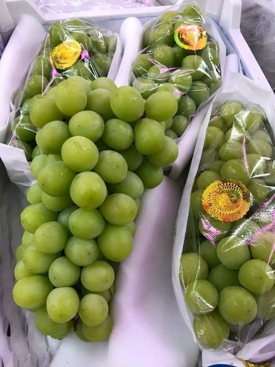 Đáng chú ý, loại nho này được đựng trong bao bì có tiếng Trung Quốc hoặc không có bao bì rõ ràng. Ảnh: Facebook
