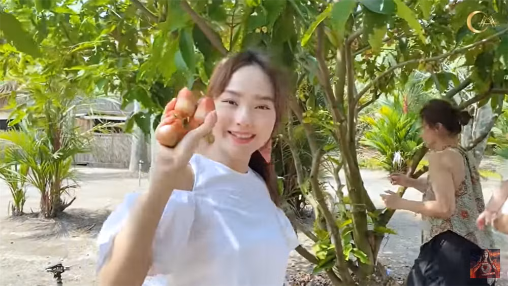 Nữ ca sĩ khoe thành quả hái mận trong vườn.
