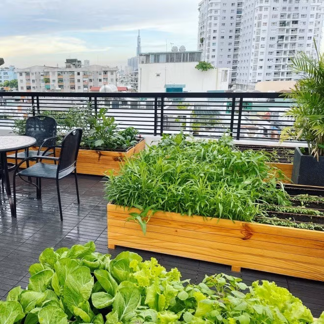 Bắt đầu từ tháng 3/2021, nam ca sĩ bắt đầu trồng rau và lắp hệ thống tưới nước tự động.