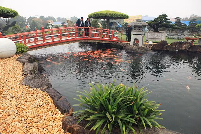 Đáng chú ý, đá quanh hồ khoảng 100 tấn được chở về từ Quỳ Hợp (Nghệ An). Đây là đá bán quý, tuy bên ngoài xù xì thô kệch nhưng bên trong rất đẹp. Ảnh: Dân Việt