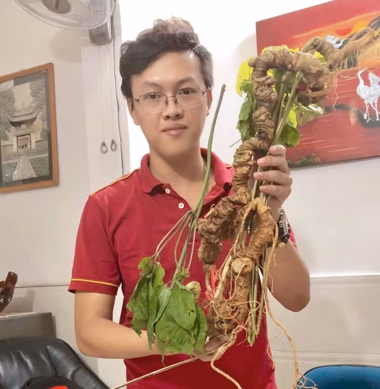 Trước đây, từng xuất hiện không ít những cặp sâm Ngọc Linh giá tiền tỷ gây xôn xao dư luận. Năm 2019, cặp sâm Ngọc Linh hơn 100 tuổi được bán với gần 1 tỷ đồng. Ảnh: Tuoitrethudo