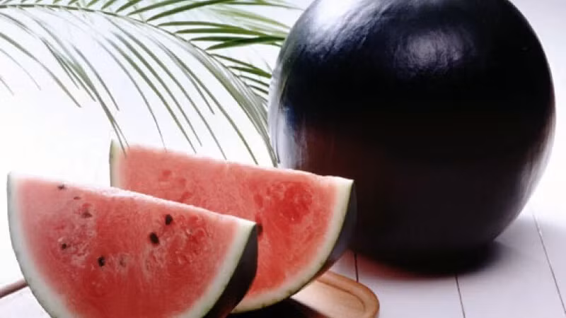Dưa hấu đen có giá đắt bởi mỗi mùa vụ chỉ thu hoạch được gần 100 quả tại thành phố Hokkaido. Ảnh: Tasteatlas
