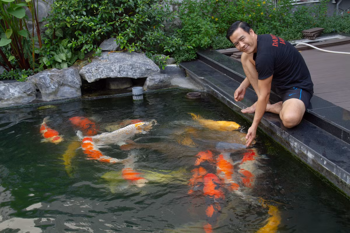 “Đột nhập” trang trại hơn 1.000m2 của “vua cá Koi” Thắng Ngô “Dot nhap” trang trai hon 1.000m2 cua “vua ca Koi” Thang Ngo
