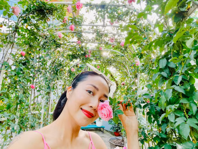 Riêng hoa hồng leo Pháp được cô làm giàn vòm trông như một cổng hoa cưới.