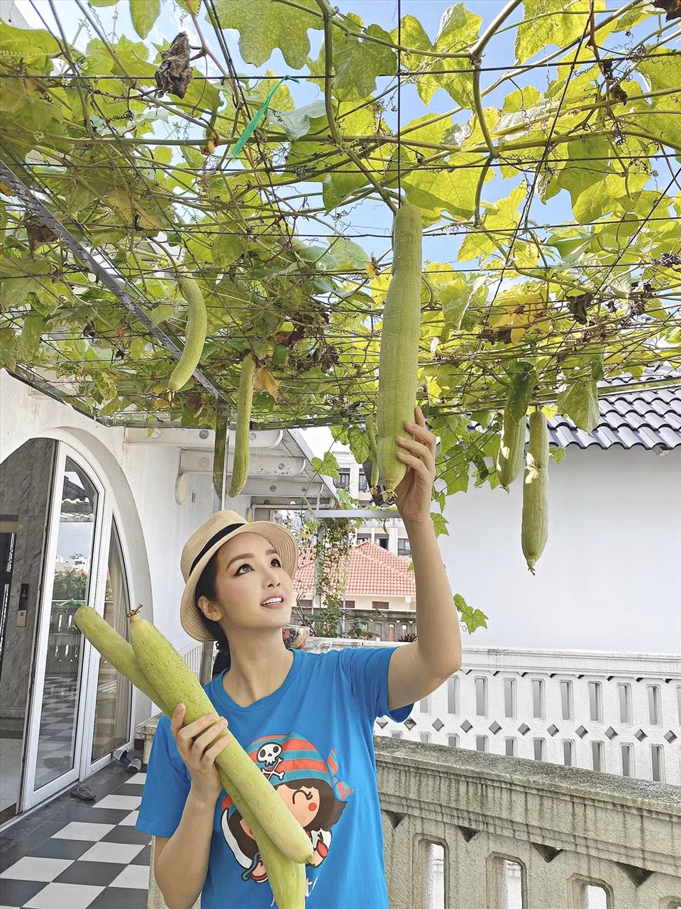 Mùa dịch, Giáng My không cần đi chợ mua rau và trái cây vì cây trái trong vườn có đủ cho gia đình dùng.