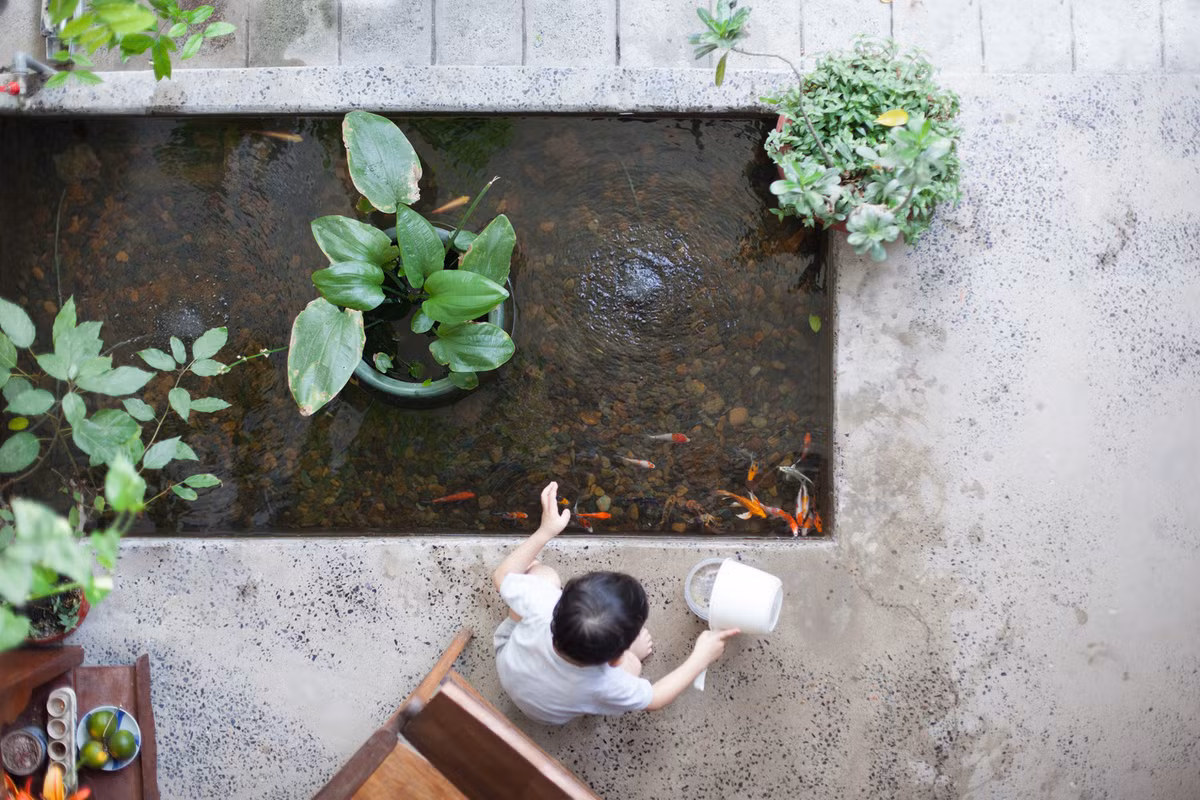 Phía trước của ngôi nhà gồm không gian thờ cúng, nơi làm việc và vườn rau.