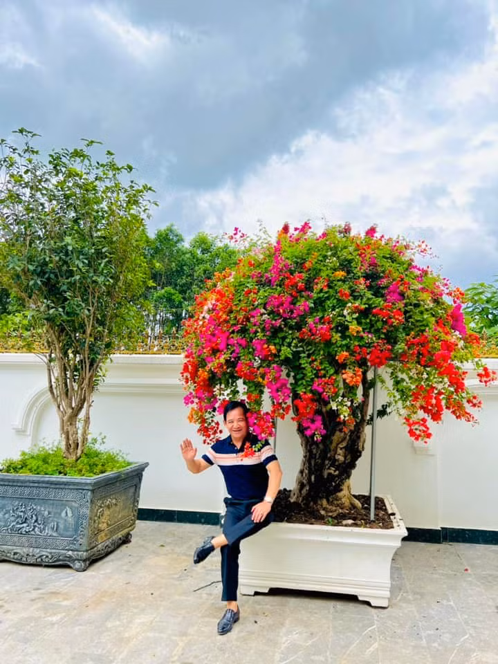 Nam nghệ sĩ không giấu được niềm vui khi mỗi sáng thức dậy được ngắm hoa giấy rực rỡ.