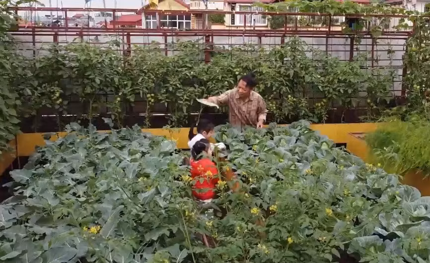 Ngoài cung cấp thực phẩm cho gia đình, khu vườn trên sân thượng còn là không gian cho con trẻ trải nghiệm. Ảnh chụp màn hình