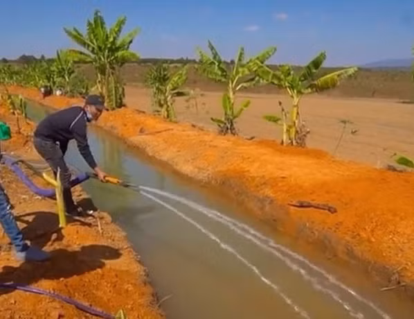 Ngoài ra, Quang Linh còn tự làm kênh mương để có hệ thống tưới nước cho nông trại.