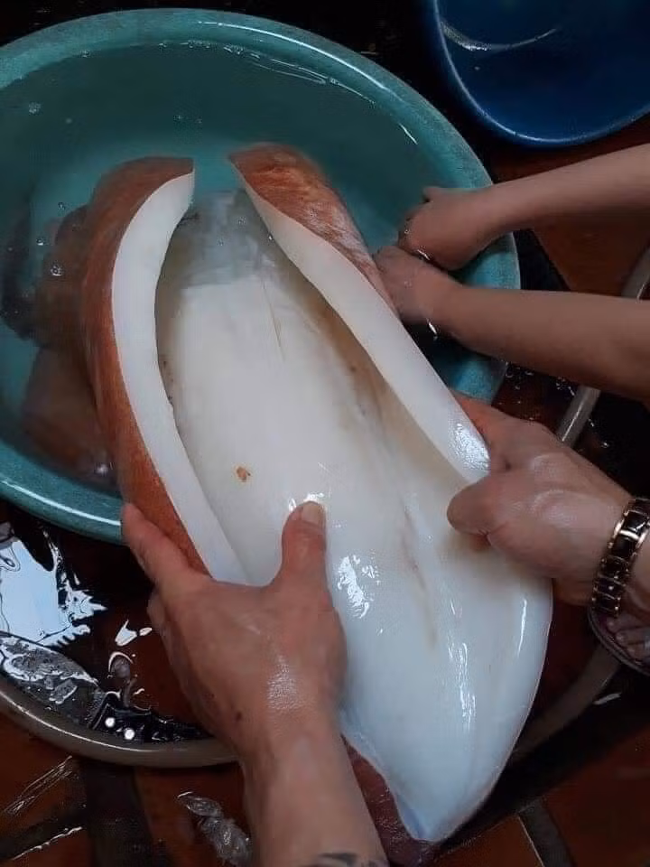 Trước đó, mực xà đại dương cũng từng gây sốt thị trường khi có giá siêu rẻ chỉ từ 90.000 đồng/kg. Ảnh: Facebook