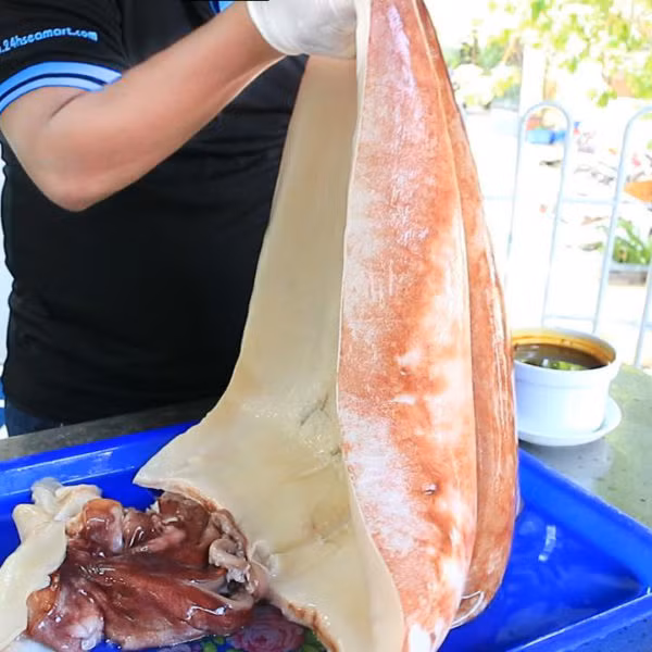 Thịt dày có màu đỏ cánh gián mằn mặn, ăn ngọt và thơm. Ảnh: HaisanHCM
