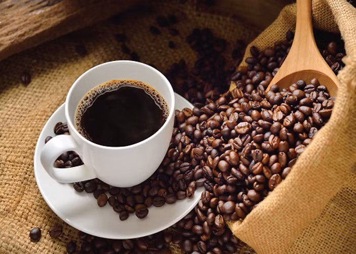 Với giá khoảng 35 - 100 USD một cốc (tương đương gần 700.000 - 2,3, triệu đồng), kopi luwak được phong là cà phê đắt đỏ nhất hành tinh. Ảnh: Vui Coffee