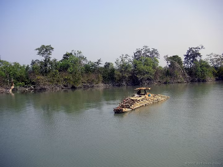 Đảo Ramree ở Myanmar là một trong những hòn đảo đáng sợ nhất Trái đất. Điều này xuất phát từ việc hàng trăm con cá sấu nước mặn ẩn nấp ở khu đầm lầy trên đảo.