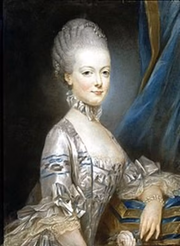 Vào tháng 7/1789, Cách mạng Pháp bùng nổ và giành thắng lợi. Vua Louis XVI bị phế truất và bị hành quyết vào ngày 21/1/1793. Sau đó, tòa án Cách mạng Pháp đưa hoàng hậu Marie Antoinette ra xét xử vào ngày 14/10/1793 với các cáo buộc bao gồm: tổ chức các cuộc ăn chơi trác táng ở Versailles, ăn cắp tiền từ ngân khố gửi cho quê nhà Áo... Cuối cùng, bà bị kết tội phản quốc và bị xử tử bằng máy chém ngày 16/10/1793.