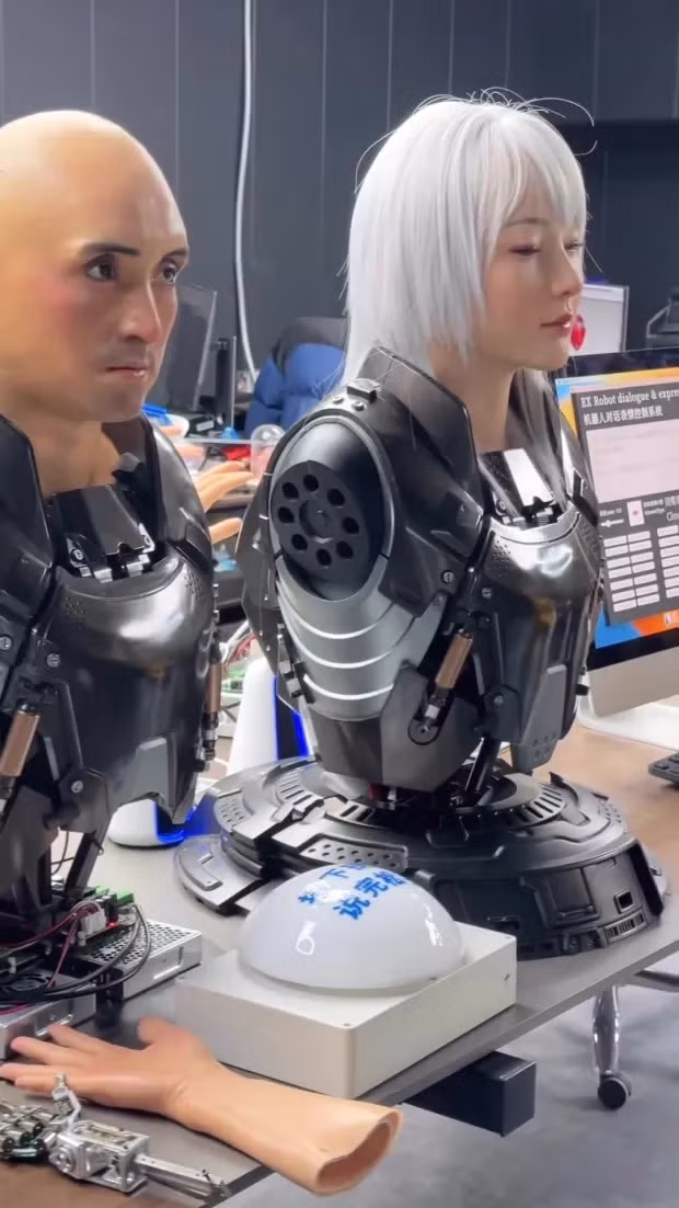 Nhờ vậy, công ty trở thành một trong những doanh nghiệp hàng đầu về trí thông minh nhân tạo và robot hình người.