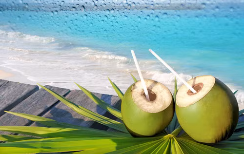 Nên uống nước dừa vào buổi sáng vì những lý do này Nen uong nuoc dua vao buoi sang vi nhung ly do nay