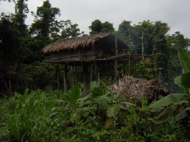 Bat ngo cuoc song 5 bo toc biet lap nhat the gioi-Hinh-6