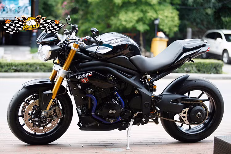 Đối thủ trực tiếp của Triumph Speed Triple sẽ là mẫu xe đến từ Italy, Ducati Streetfighter S cùng một số mẫu xe khác cùng phân khúc.