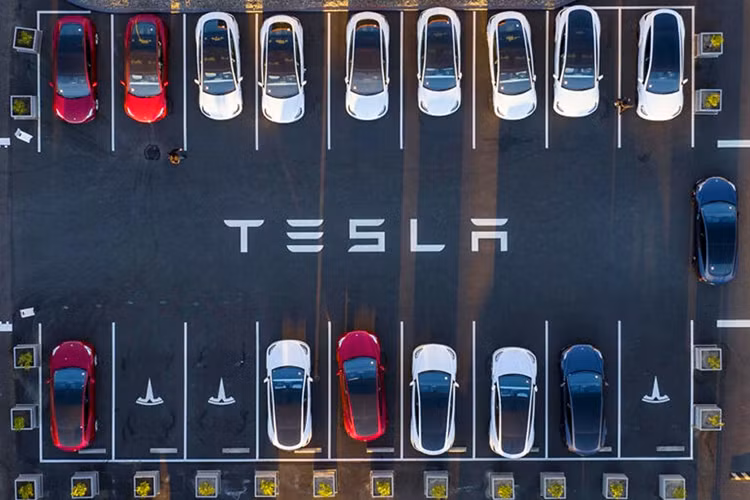 Hang trieu oto dien Tesla dinh an trieu hoi, co ca ban tai Cybertruck