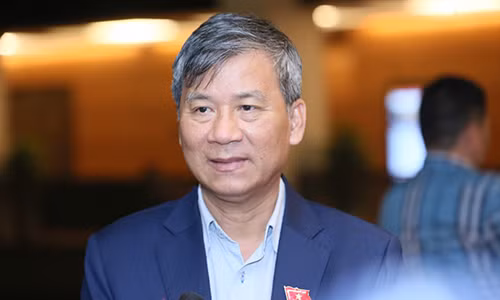 Đại biểu Quốc hội Nguyễn Anh Trí.