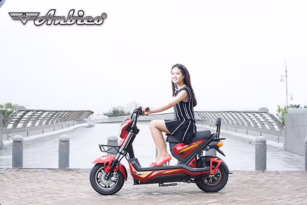 Ba mau xe dien Anbico hut khach nhat thi truong Viet-Hinh-6