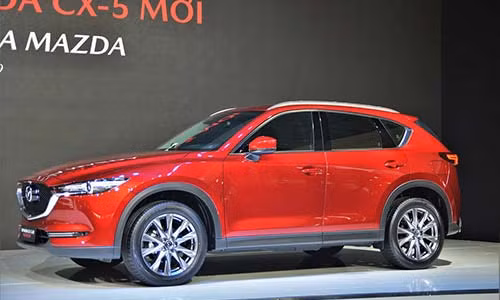 Xe oto tai Viet Nam 
