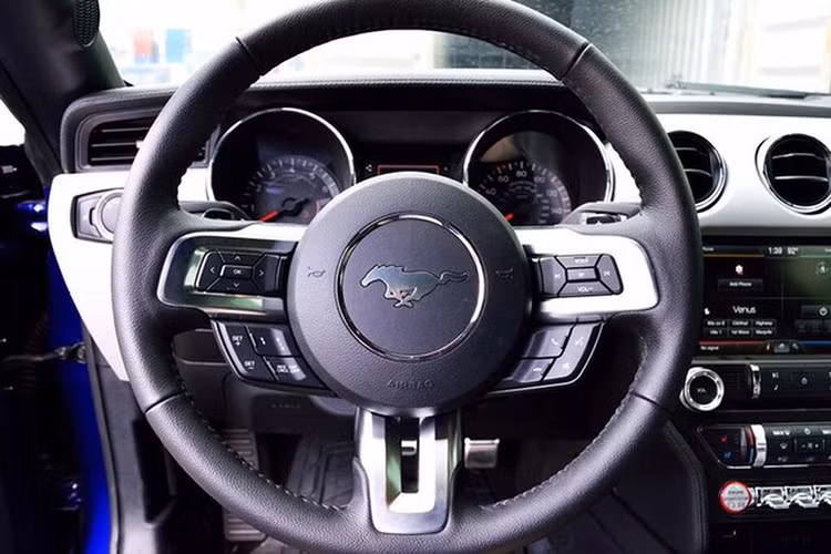 Nội thất của chiếc Mustang 50 Year Limited Edition rộng rãi hơn so với phiên bản cũ và sang trọng với những vật liệu cao cấp. Ngoài ra, bảng điều khiển trên chiếc Mustang mới với nhiều tính năng với nút bấm dễ dàng sử dụng hơn. Nắp lưng ghế chính và phụ có lẫy mở đẩy ghế trượt lên dễ dàng cho người ngồi hàng ghế sau.