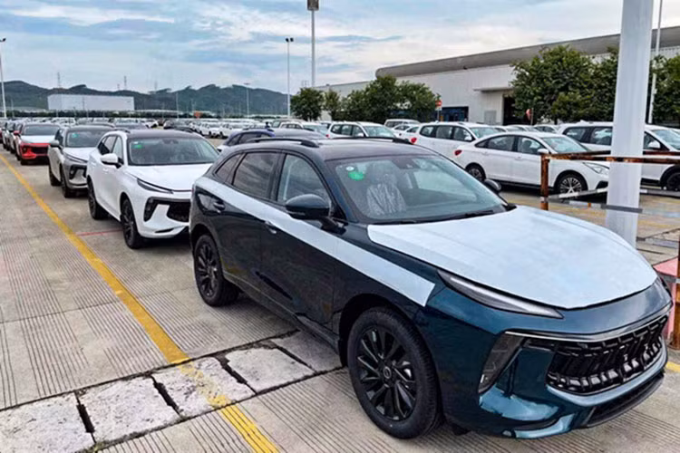 Xe 