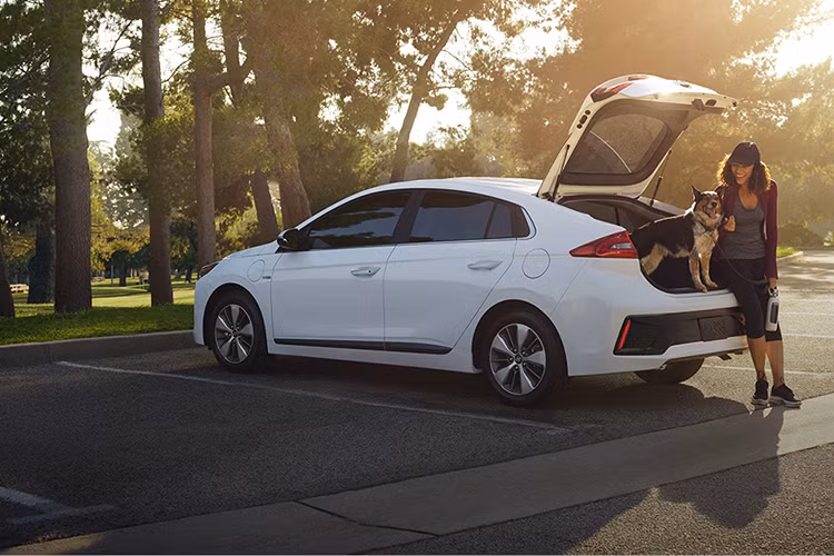 Theo đó, mẫu xe giành chiến thắng là Hyundai Ioniq 2018 đã thoả mãn và đáp ứng đầy đủ những tiêu chí mà ban tổ chức đưa ra để giành số điểm cao nhất được bình chọn bởi 25 giám khảo nữ giới, đến từ 20 quốc gia trên toàn thế giới như : New zealand, Úc, Italia, Canada, Anh...