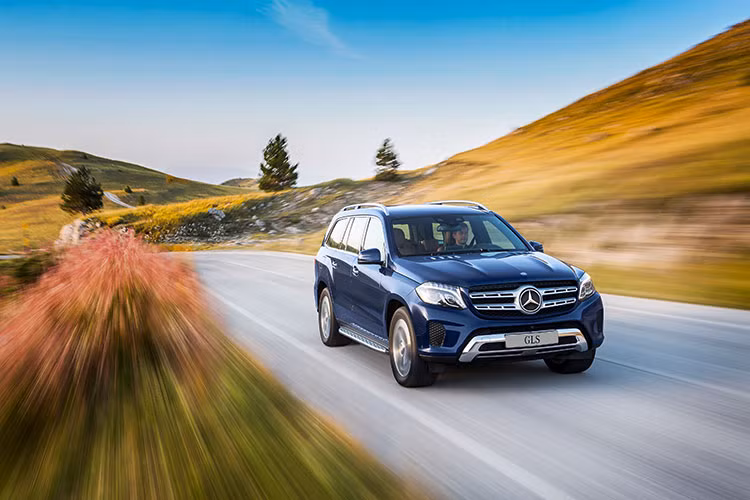 Đặc biệt, Mercedes-AMG tiếp tục là thương hiệu xe hiệu năng cao bán chạy nhất thế giới với 99.235 xe đến tay khách hàng trong năm qua, tăng trưởng hơn 44% so với năm 2015. Năm 2017 sẽ là kỷ niệm 50 năm thành lập của thương hiệu có trụ sở tại Affalterbach.