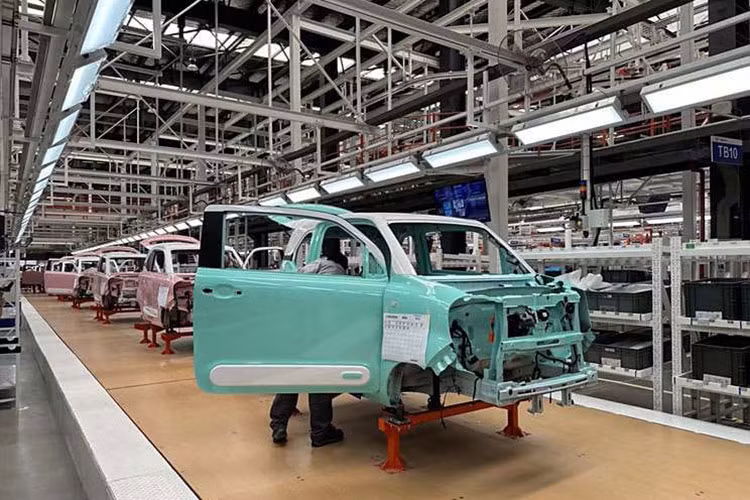 Nhà máy của Thái Hưng tại Thái Bình, với vốn đầu tư 9,5 triệu Euro (tương đương 254 tỷ đồng), có công suất lắp ráp 10.000 xe điện/năm. Bên cạnh đó, công ty đang nghiên cứu mở rộng Khu liên hợp xe điện Thái Hưng với quy mô từ 100 - 200 ha, dự kiến triển khai từ cuối năm 2025.