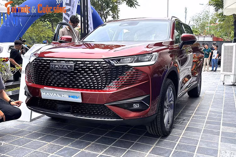  Haval H6: 986 triệu đồng Mẫu SUV cỡ C ăn khách nhất Trung Quốc từ năm 2015 cho đến nay - Haval H6 đã "bước chân" vào thị trường Việt Nam từ tháng 8/2023. Xe nhập khẩu nguyên chiếc Thái Lan với 1 phiên bản duy nhất cùng giá bán 986 triệu đồng.