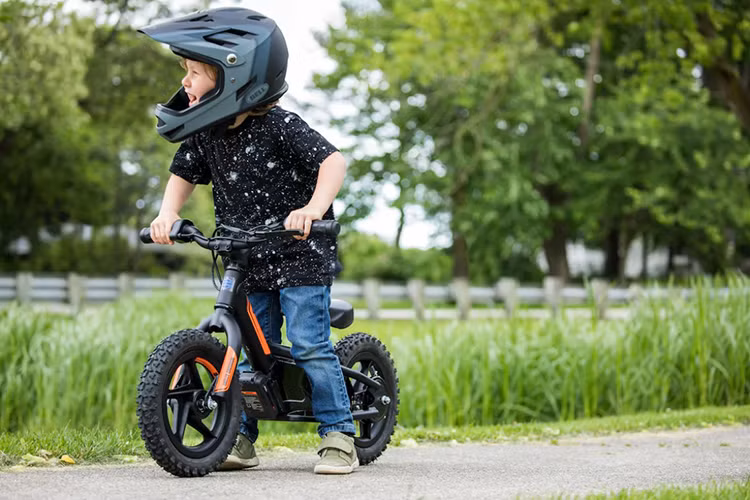 Tuy là một mẫu "xe điện nhí" nhưng Harley-Davidson IRONe12 cũng sở hữu 2 chế độ lái riêng biệt, bao gồm Standard và Advanced. Hai chế độ lái này mang tới cho IRONe12 khả năng tăng tốc khác nhau với dải tốc độ tối đa từ 11 - 14 km/h.