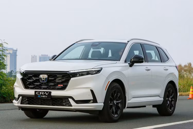 De xuat giam thue oto hybrid, tang thue xe ban tai toi 60%