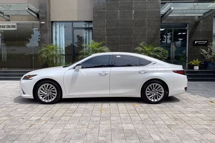 Lexus ES được đưa về Việt Nam nhằm cạnh tranh trực tiếp với các đối thủ trong phân khúc sedan hạng sang như Mercedes E-Class, BMW 5-Series hay Audi A6. Lexus ES 250 2020 mới là phiên bản thấp nhất thuộc dòng ES đang được Lexus Việt Nam bán ra tại thị trường với nhiều nâng cấp, cải tiến hơn so với thế hệ trước đó.