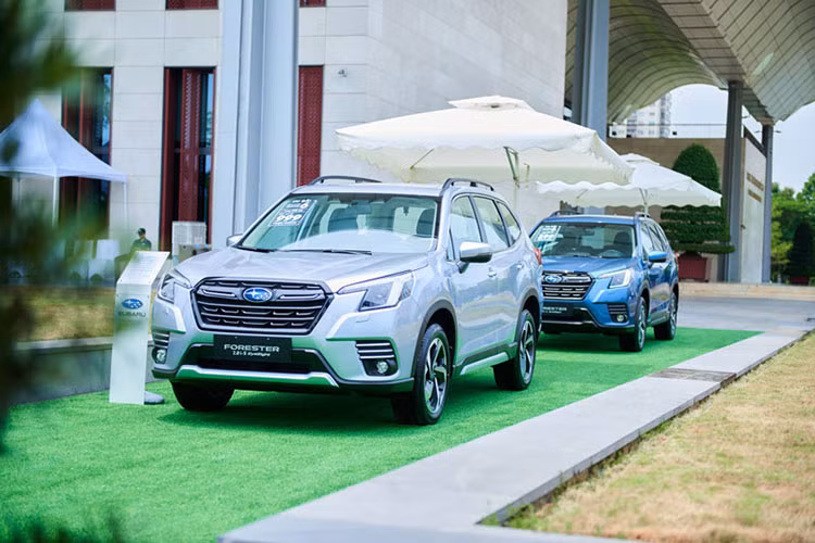Subaru Forester vừa tung khuyến mãi chính hãng cho khách hàng mua xe ôtô trong tháng 10 với nhiều quà tặng hấp dẫn gồm: 3 năm bảo hiểm vật chất, 1 bộ gập gương tự động, 1 bộ phụ kiện cốp đóng mở tự động, giảm tiền mặt 35-71 triệu đồng vào giá xe. Khách hàng không nhận quà tặng có thể quy đổi thành tiền mặt với giá trị từ 220 triệu - 280 triệu đồng, tùy phiên bản.