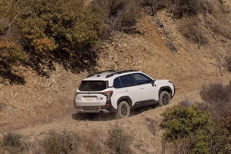 Ngoài ra, Subaru trang bị cho Forester Wilderness cảm biến nhiệt độ vi sai sau, hỗ trợ kiểm soát nhiệt khi vận hành trên địa hình khó. Động cơ vẫn giữ nguyên mức công suất 180 mã lực và sử dụng hộp số CVT. 