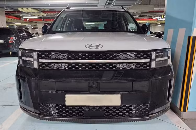 Duoi xe Hyundai SantaFe 2024 bi nguoi dung che 