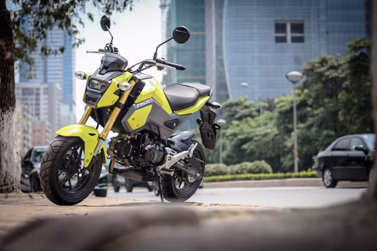 Mẫu xe máy Honda MSX 125 lần đầu tiên được đưa về thị trường xe máy Việt Nam vào năm 2014. Đây là mẫu xe côn tay cỡ nhỏ thừa hưởng phong cách của dòng xe "monkey" với kỳ vọng mang đến một xu hướng mới cho giới trẻ, đặc biệt nhỏ gọn và phù hợp với vóc dáng người Á Châu.