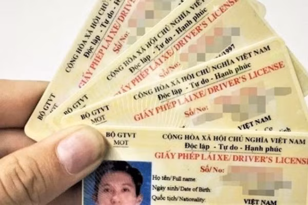 Canh bao website gia mao tra cuu thong tin bang lai xe