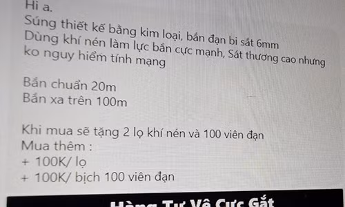 Súng 6,5 triệu đồng/chiếc quảng cáo ngập Facebook Việt Nam - Hình 2 Sung 6,5 trieu dong/chiec quang cao ngap Facebook Viet Nam-Hinh-2