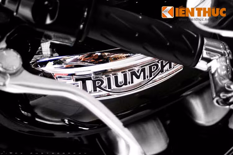 Bình xăng thon, xuôi xuống phần yên và ôm sát khung sườn với logo Triumph bóng bẩy.