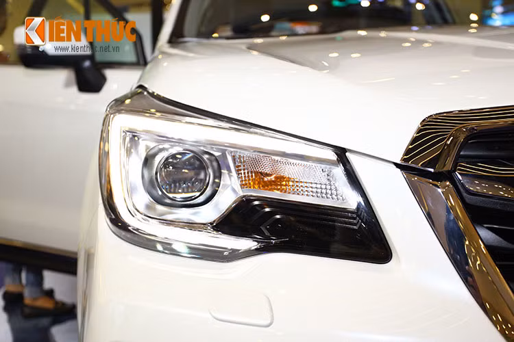 Forester 2016 được xem là mẫu xe thể thao gia đình đa dụng, có thể hoạt động trong nhiều điều kiện địa hình khác nhau. Xe sở hữu hiều dài 4.595 mm, rộng 1.795 mm, cao 1.735 mm và chiều dài trục cơ sở 2.640 mm