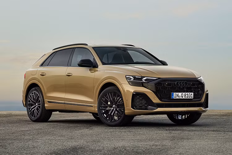 Động cơ xăng V6 3.0 TFSI công suất 250 kW (340 mã lực) và mô men xoắn cực đại 500 Nm. Audi Q8 tăng tốc từ 0 tới 100 km/h chỉ trong 5,9 giây với tốc dộ tối đa 245 km/h. Mẫu xe SUV hạng sang này đặc biệt hiệu quả nhờ công nghệ mild hybrid mới (MHEV).