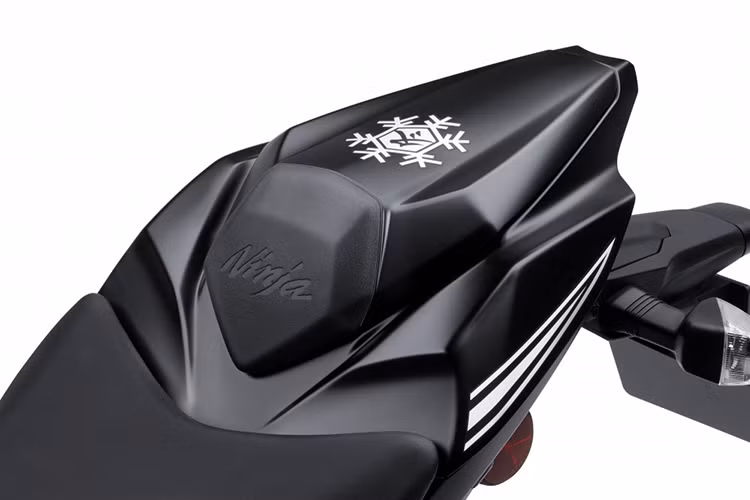 Giống với phiên bản thường, động cơ trên ZX-10RR vẫn là loại 4 xi-lanh thẳng hàng 998 cc DOHC làm mát bằng chất lỏng, đi kèm với hộp số 6 cấp. Tuy nhiên chiếc xe đã có cải tiến là nòng xi-lanh được phủ lớp tráng cứng như kim cương để giảm ma sát, cũng như nắp quy lát được mài bớt để phù hợp với gối cam cao hơn.
