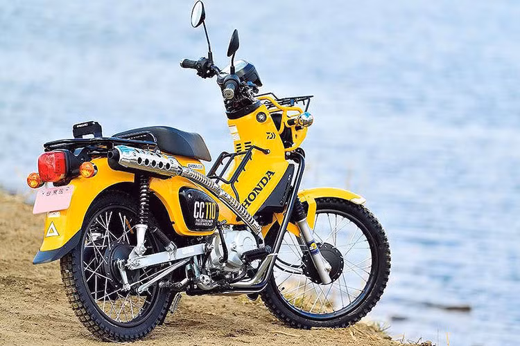 Bản độ Cross Cub câu cá này được Lure Magazine River và Young Machine tạo ra với mục đích trưng bày, chính vì vậy nó sẽ không được thương mại hóa. Tuy nhiên những người đam mê câu cá có thể tạo ra được một chiếc xe tương tự khi mọi phụ kiện cộng thêm đều được bán sẵn. Tổng giá trị của toàn bộ các "đồ chơi" nêu trên là 100.553 Yen (tương đương 20,9 triệu đồng)