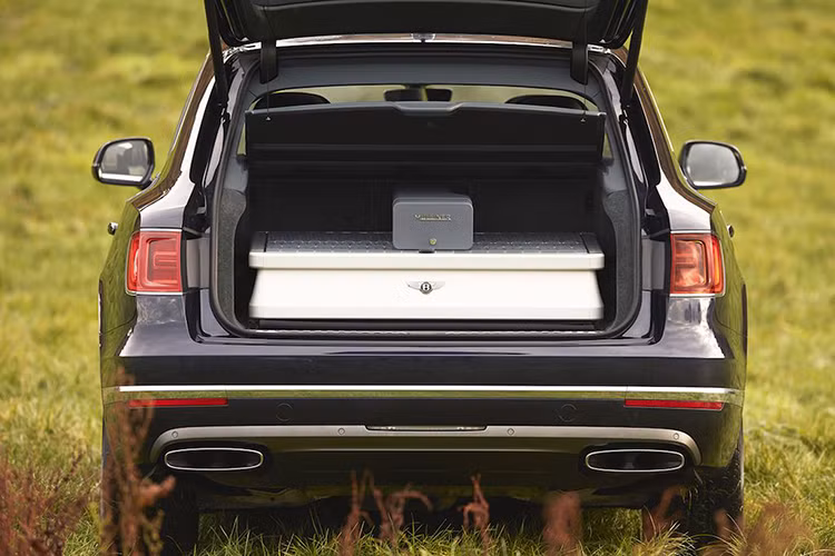 Hiện tại, Bentley Bentayga đang có hai tùy chọn động cơ là máy xăng W12 và máy dầu diesel V8. Động cơ tăng áp kép W12 dung tích 6,0 lít sản sinh công suất tối đa 600 mã lực và mô-men xoắn cực đại 900Nm. Trong khi đó, tùy chọn động cơ diesel V8 dung tích 4,0 lít đi kèm với 3 tăng áp Triple Charging cho công suất tối đa 429 mã lực.